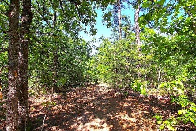 TBD CR 4552, Winnsboro, TX 75494