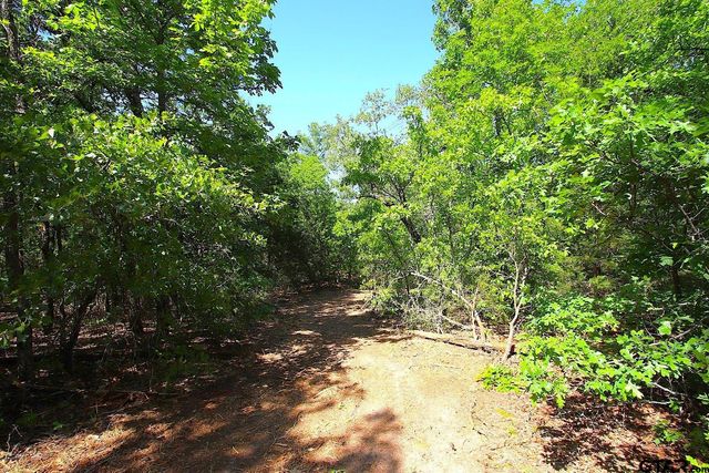 TBD CR 4552, Winnsboro, TX 75494