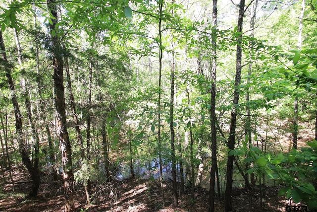 TBD CR 4552, Winnsboro, TX 75494