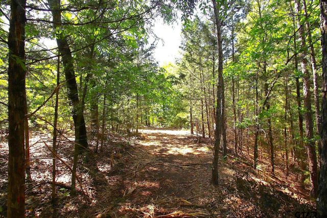 TBD CR 4552, Winnsboro, TX 75494