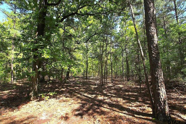 TBD CR 4552, Winnsboro, TX 75494