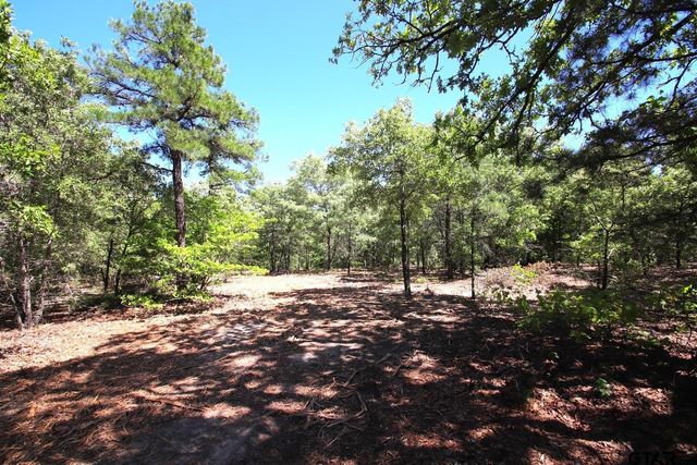 TBD CR 4552, Winnsboro, TX 75494