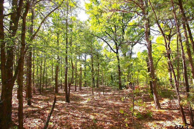 TBD CR 4552, Winnsboro, TX 75494