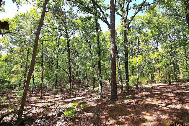 TBD CR 4552, Winnsboro, TX 75494