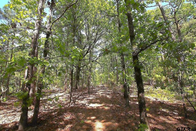 TBD CR 4552, Winnsboro, TX 75494