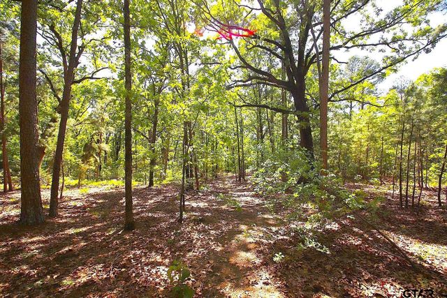 TBD CR 4552, Winnsboro, TX 75494