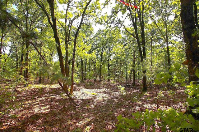 TBD CR 4552, Winnsboro, TX 75494