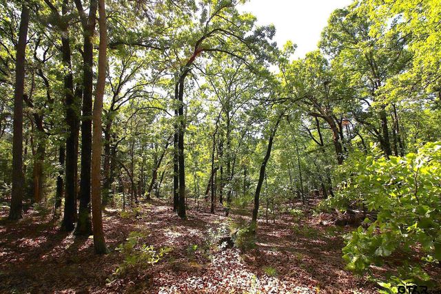 TBD CR 4552, Winnsboro, TX 75494