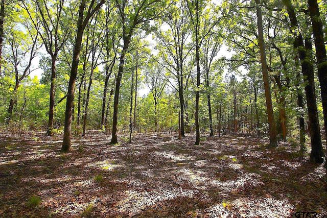 TBD CR 4552, Winnsboro, TX 75494
