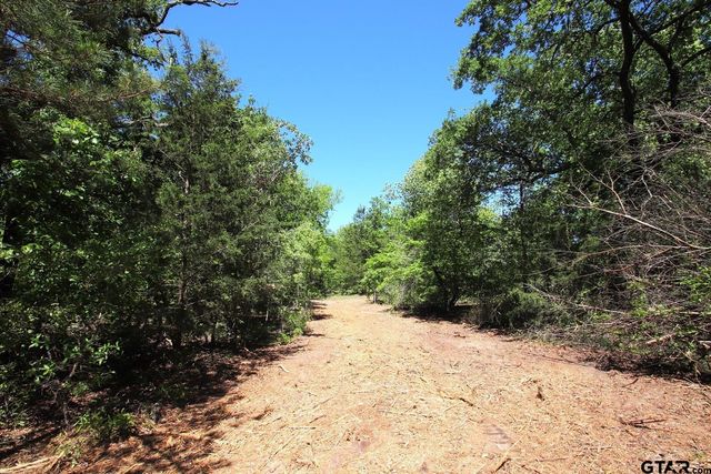 TBD CR 4552, Winnsboro, TX 75494