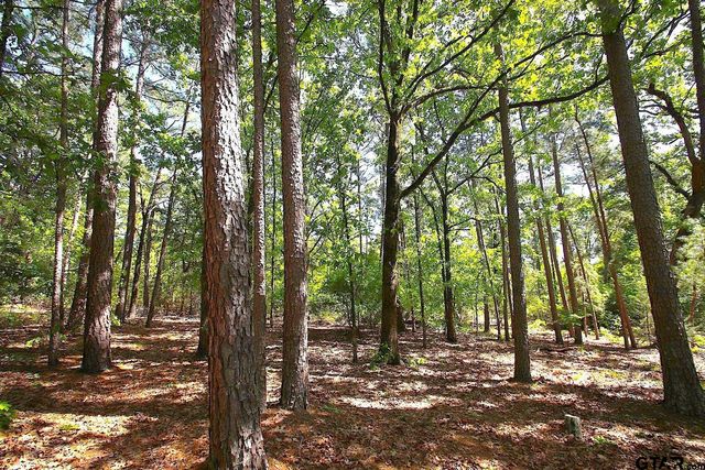 TBD CR 4552, Winnsboro, TX 75494