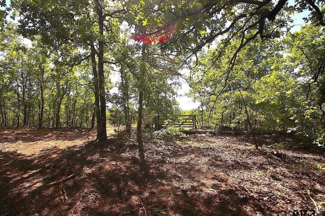 TBD CR 4552, Winnsboro, TX 75494