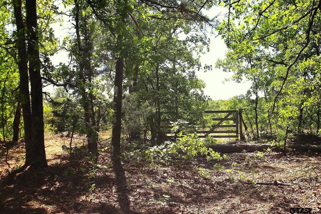 TBD CR 4552, Winnsboro, TX 75494