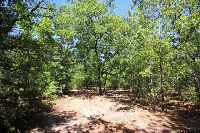 TBD CR 4552, Winnsboro, TX 75494