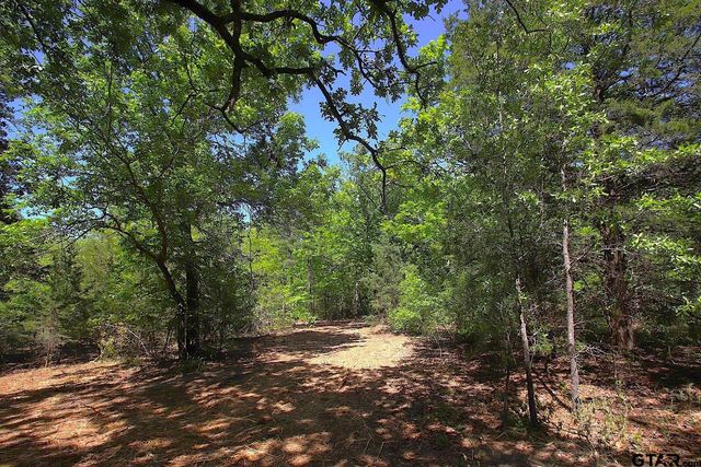 TBD CR 4552, Winnsboro, TX 75494