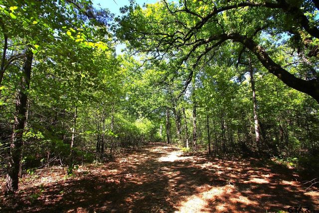TBD CR 4552, Winnsboro, TX 75494
