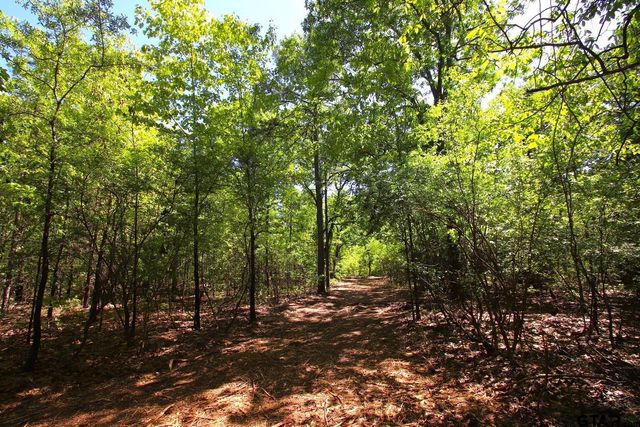 TBD CR 4552, Winnsboro, TX 75494