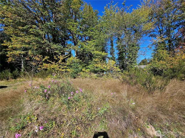 22550 NE SR-3 Highway, Belfair, WA 98528