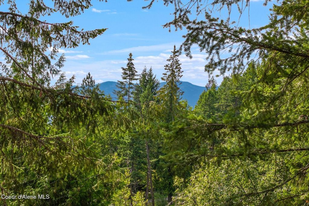 1083 S Idaho Club Drive, Sandpoint, ID 83864 photo 59