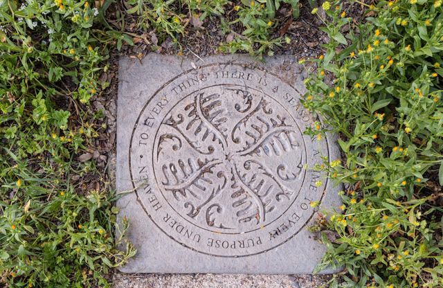 Address unavailable.