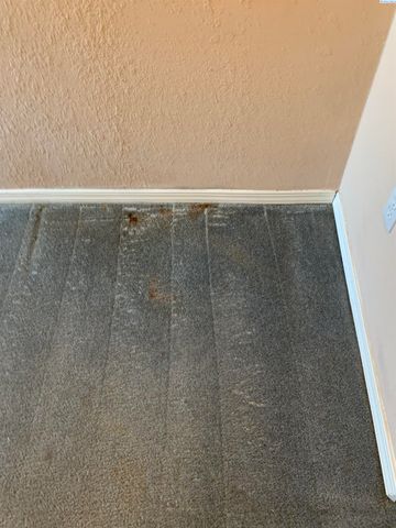 515 NW Irving St, Pullman, WA 99163