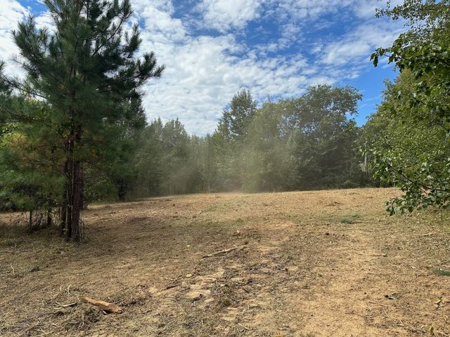 0 Eudailey Covington Rd, College Grove, TN 37046