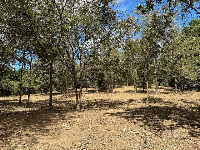 0 Eudailey Covington Rd, College Grove, TN 37046