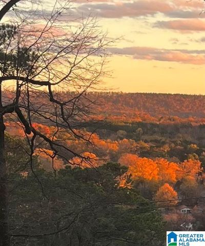 65 DOGWOOD DRIVE, Oneonta, AL 35121