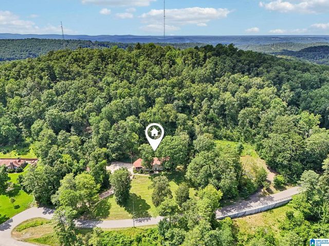 65 DOGWOOD DRIVE, Oneonta, AL 35121