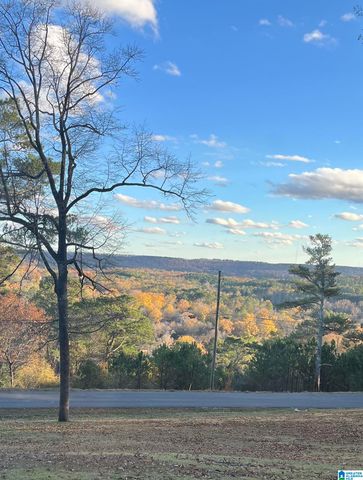 65 DOGWOOD DRIVE, Oneonta, AL 35121