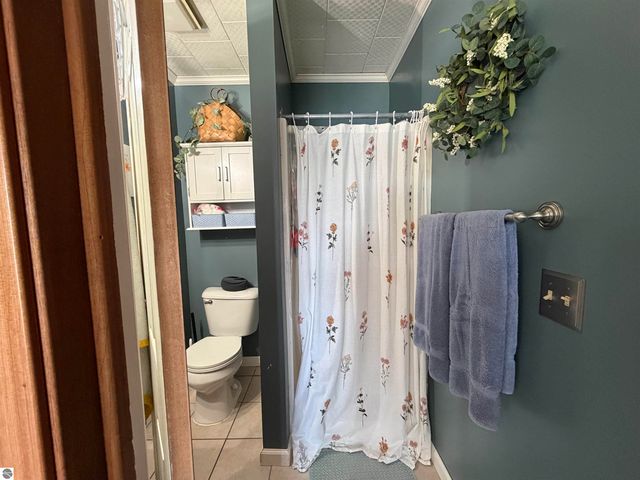 11180 Alpine Drive, Lake, MI 48632