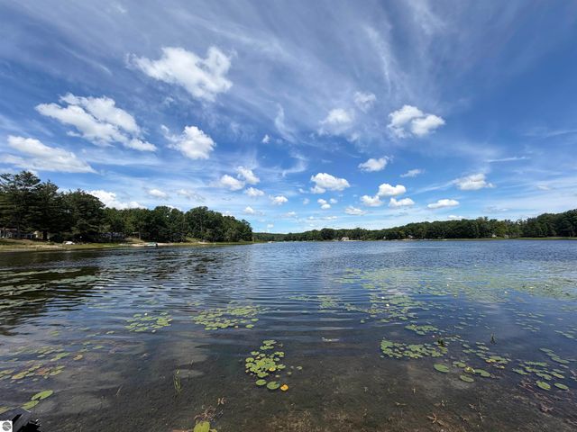 11180 Alpine Drive, Lake, MI 48632