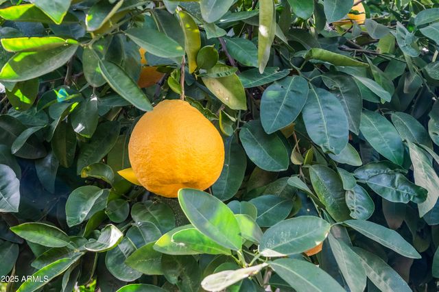 2342 E MALLARD Court, Gilbert, AZ 85234