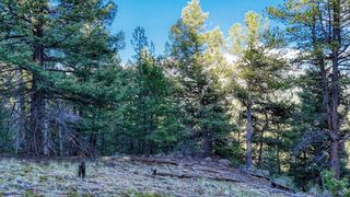 364 Blue Spruce Road, Divide, CO 80814