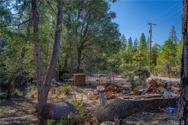 10038 Holtzel, Coulterville, CA 95311