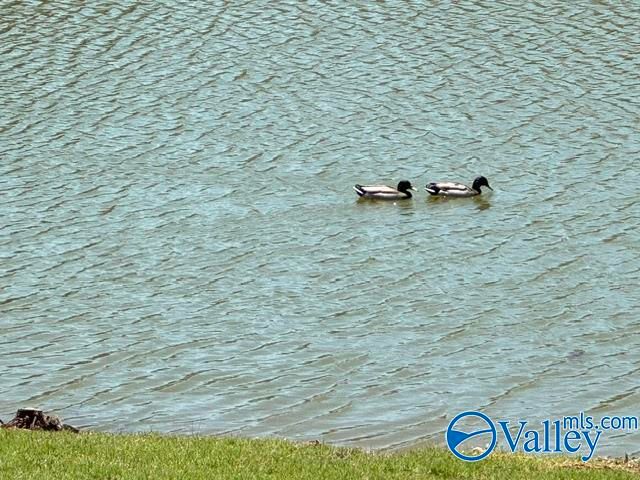 441 Ripple Lake Drive SW, Huntsville, AL 35824