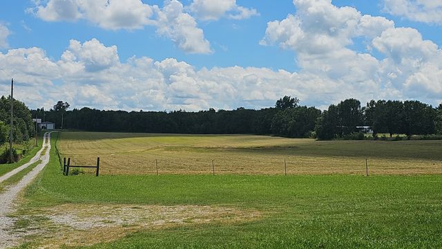 219 Thomas Farms Ln, Morrison, TN 37357