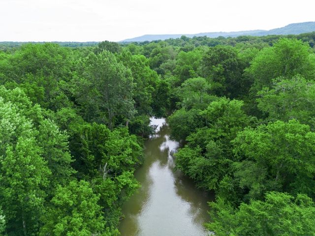 219 Thomas Farms Ln, Morrison, TN 37357