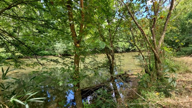 219 Thomas Farms Ln, Morrison, TN 37357