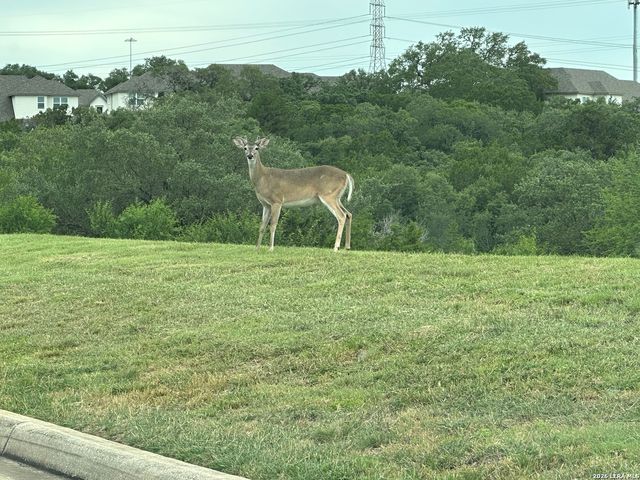 3950 RIVER FLS, San Antonio, TX 78259