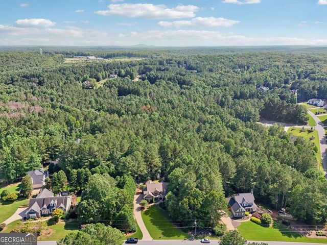 202 Saddlehorn Trail, Ball Ground, GA 30107