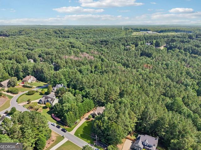 202 Saddlehorn Trail, Ball Ground, GA 30107