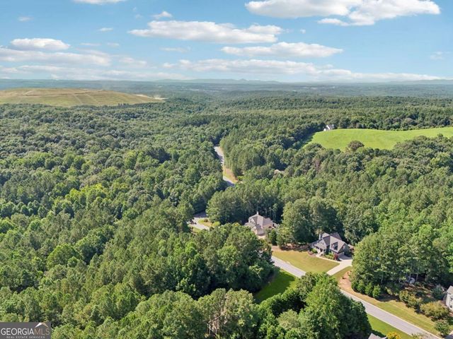 202 Saddlehorn Trail, Ball Ground, GA 30107
