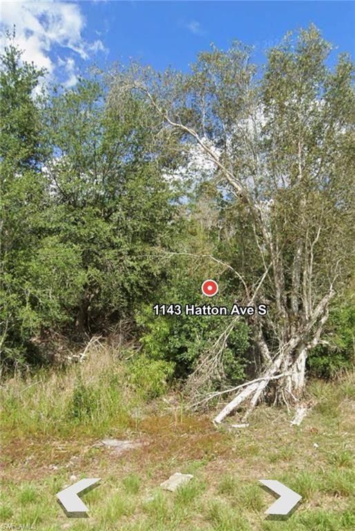 1143 hatton AVE S, LEHIGH ACRES, FL 33974 — photo 4