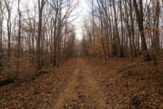 199 Spain Rd, Charlotte, TN 37036