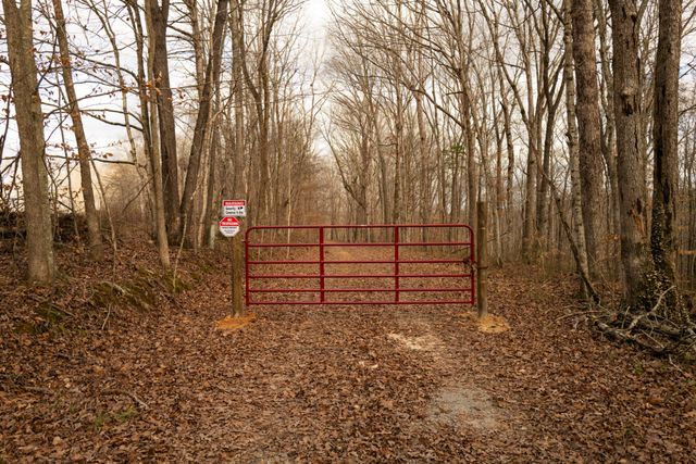 199 Spain Rd, Charlotte, TN 37036