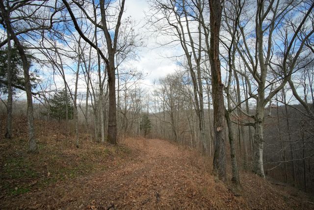 199 Spain Rd, Charlotte, TN 37036