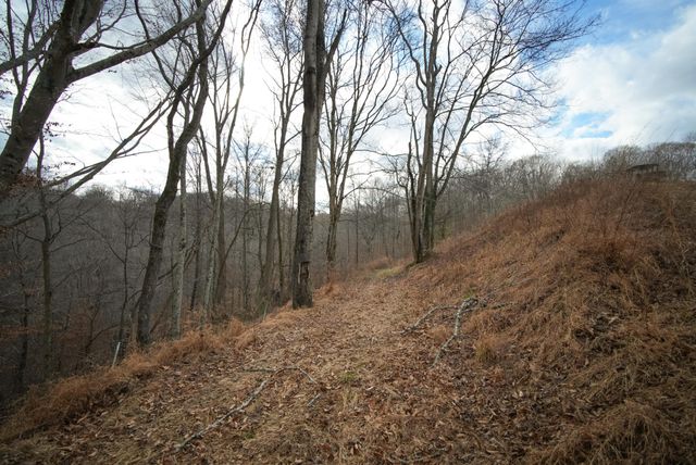 199 Spain Rd, Charlotte, TN 37036