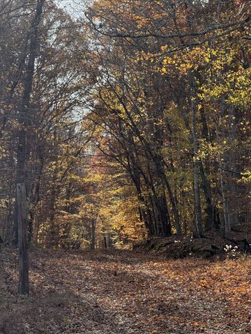 199 Spain Rd, Charlotte, TN 37036