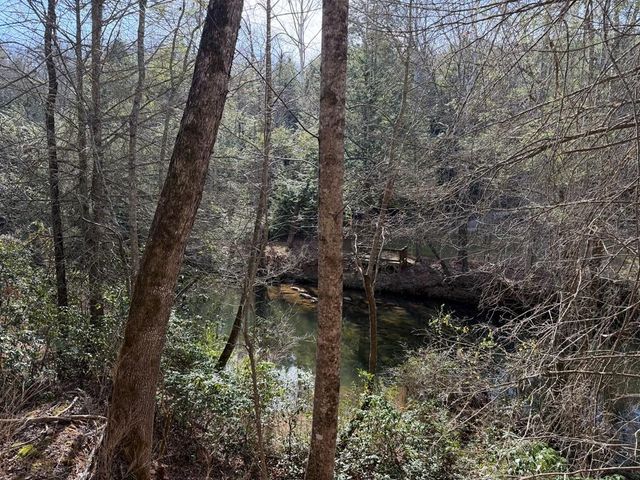 0 Frogtown Place, Dahlonega, GA 30533